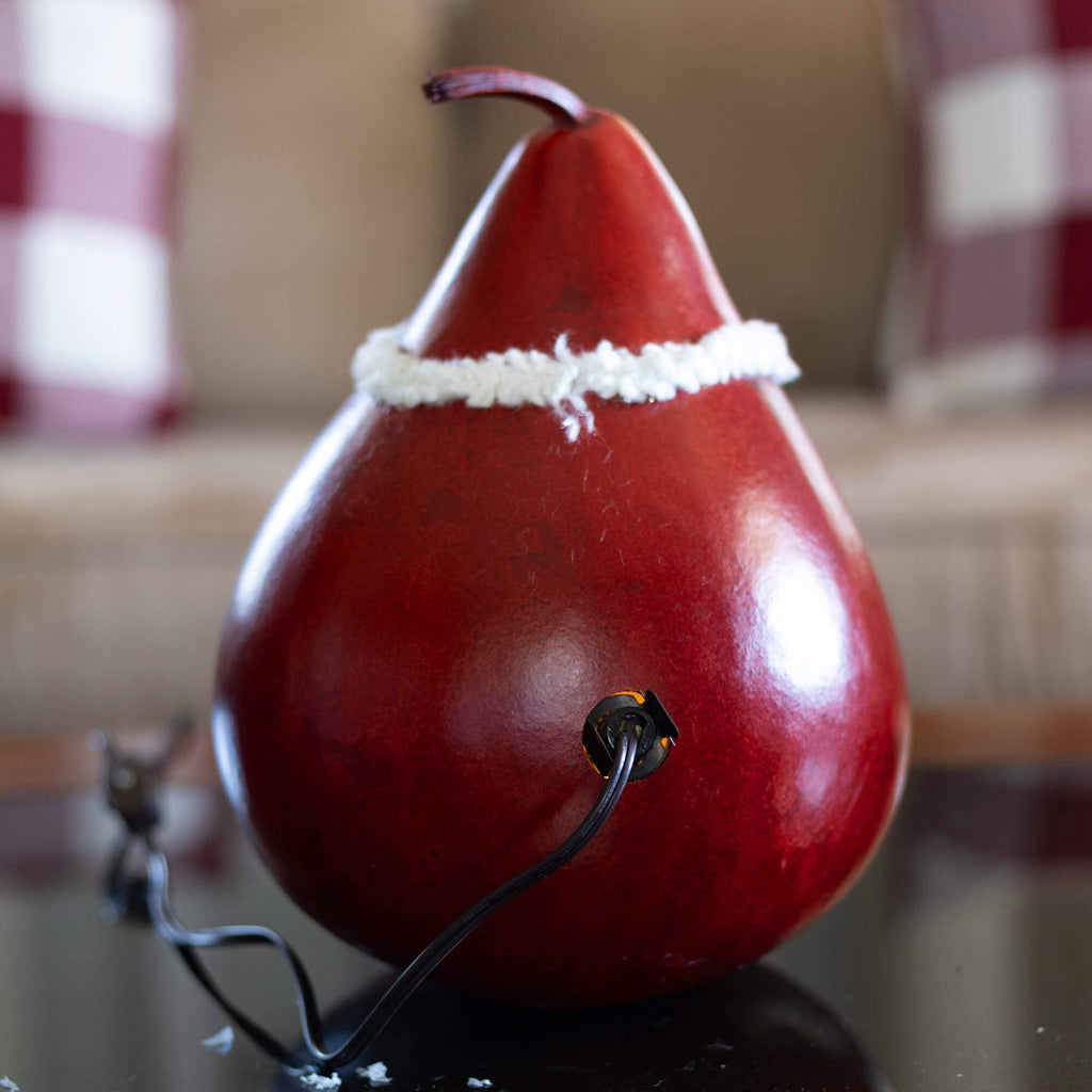 Hand-Crafted Christmas Gourd Luminary - Santa Large Lit