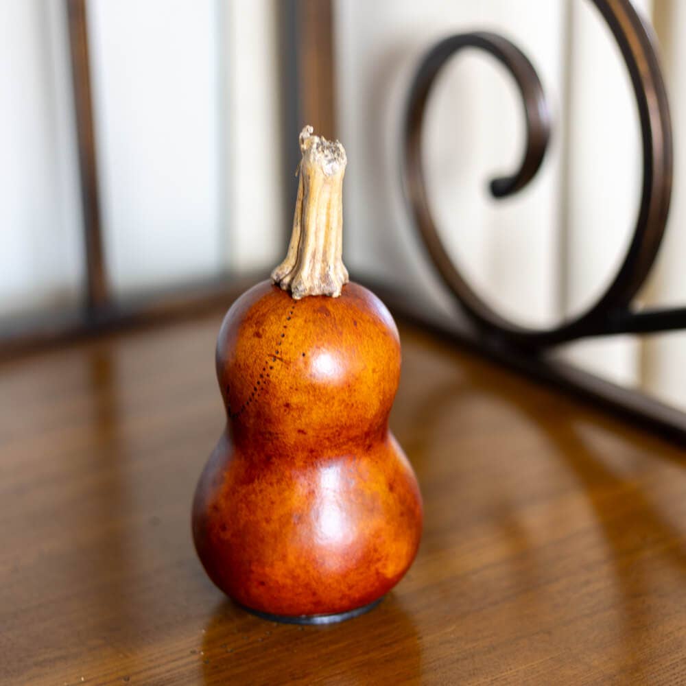 Hand-Crafted Gourd - Killian Miniature - Halloween Decor