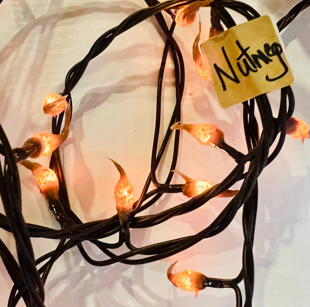 Electric NUTMEG Hand Dipped Silicone Teeny Rice Lights