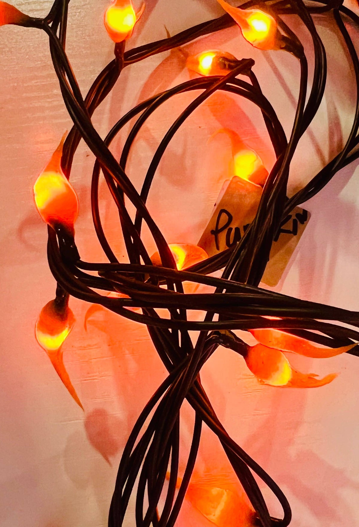 Battery “Pumpkin” Dipped Teeny Rice Lights w/timer